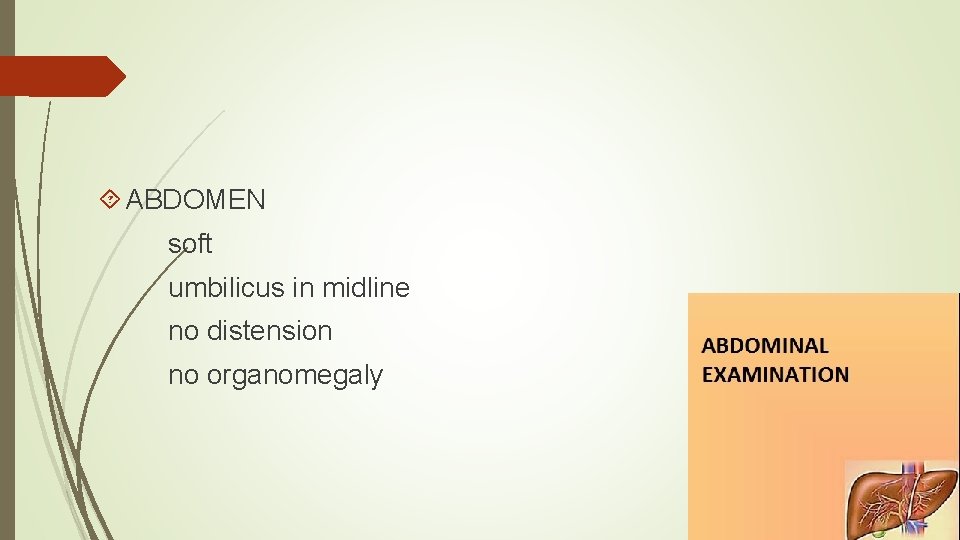  ABDOMEN soft umbilicus in midline no distension no organomegaly 