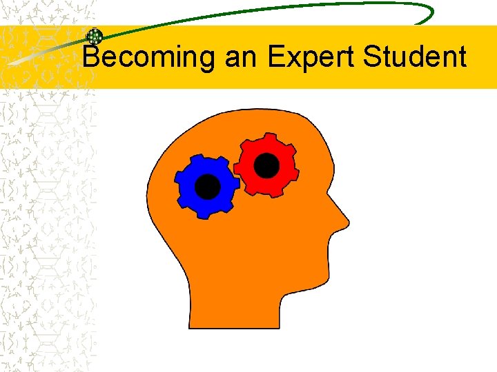 Becoming an Expert Student 