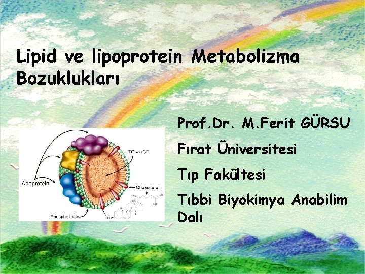 Lipid ve lipoprotein Metabolizma Bozuklukları Prof. Dr. M. Ferit GÜRSU Fırat Üniversitesi Tıp Fakültesi