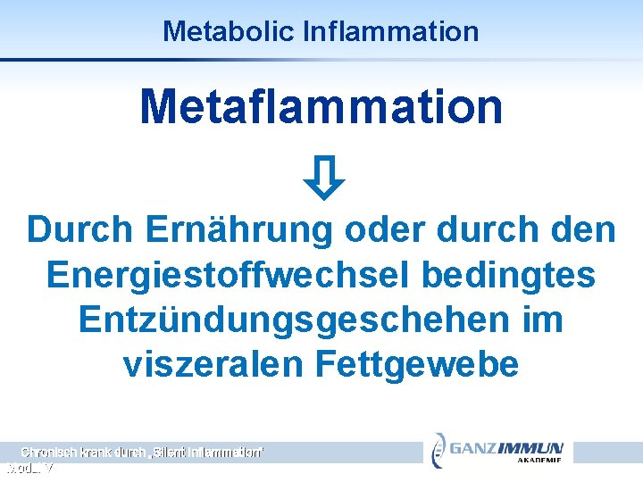 Metabolic Inflammation Metaflammation Durch Ernährung oder durch den Energiestoffwechsel bedingtes Entzündungsgeschehen im viszeralen Fettgewebe