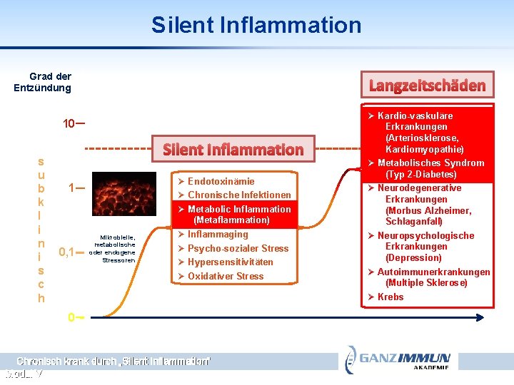Silent Inflammation Grad der Entzündung Langzeitschäden 10 s u b k l i n