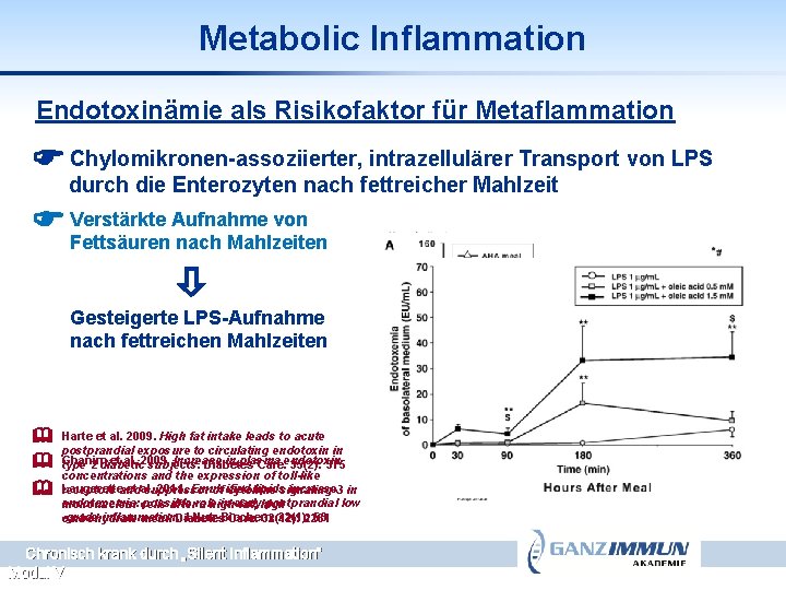 Metabolic Inflammation Endotoxinämie als Risikofaktor für Metaflammation Chylomikronen-assoziierter, intrazellulärer Transport von LPS durch die