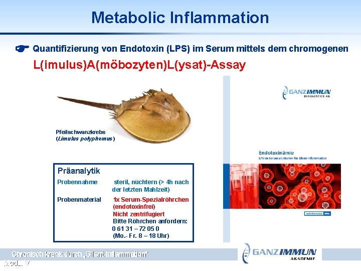 Metabolic Inflammation Quantifizierung von Endotoxin (LPS) im Serum mittels dem chromogenen L(imulus)A(möbozyten)L(ysat)-Assay Pfeilschwanzkrebs (Limulus