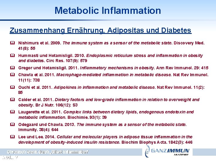 Metabolic Inflammation Zusammenhang Ernährung, Adipositas und Diabetes & Nishimura et al. 2009. The immune