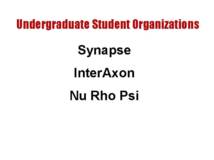 Undergraduate Student Organizations Synapse Inter. Axon Nu Rho Psi 