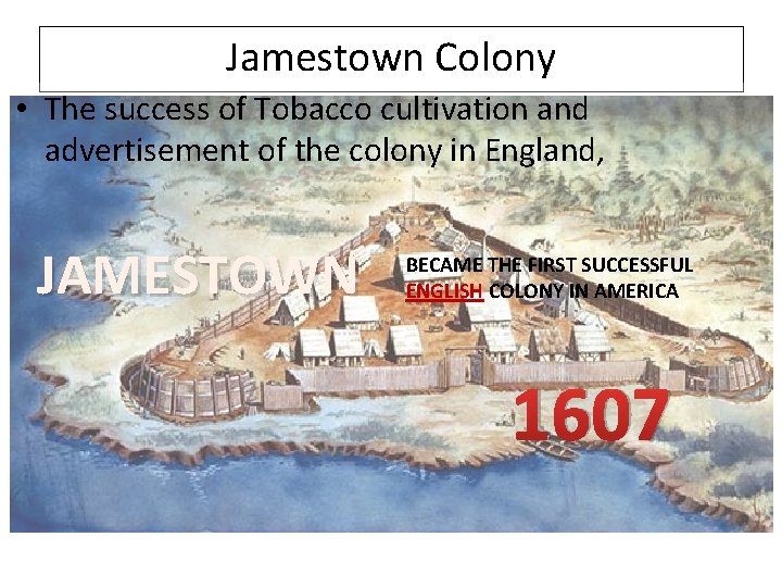 Jamestown Colony • The success of Tobacco cultivation and advertisement of the colony in