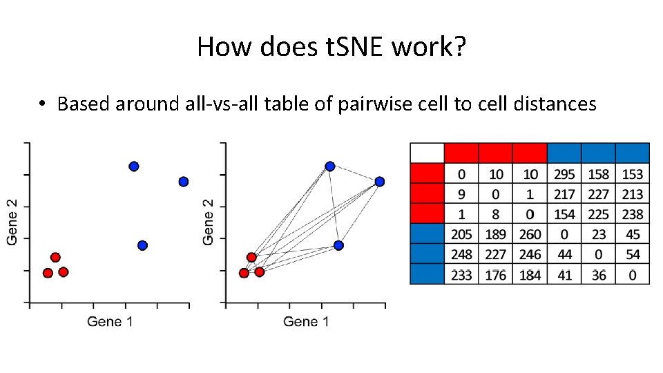 How does t. SNE work? • Based around all-vs-all table of pairwise cell to How does t. SNE work? • Based around all-vs-all table of pairwise cell to