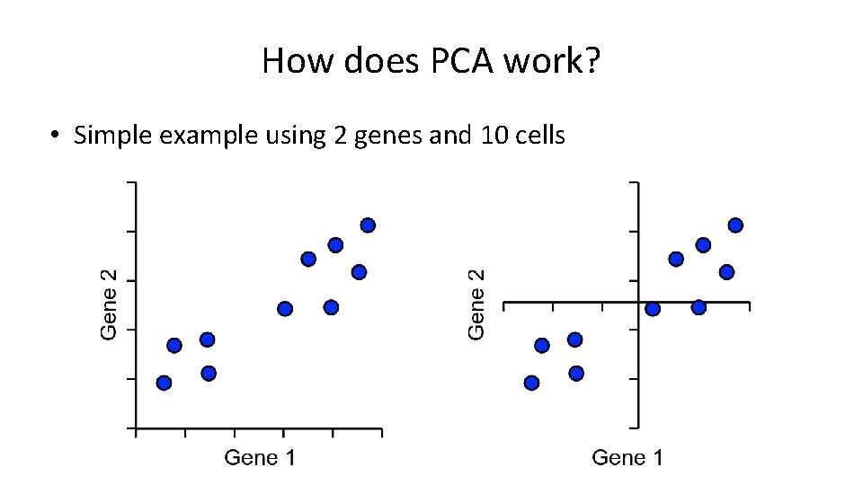 How does PCA work? • Simple example using 2 genes and 10 cells How does PCA work? • Simple example using 2 genes and 10 cells