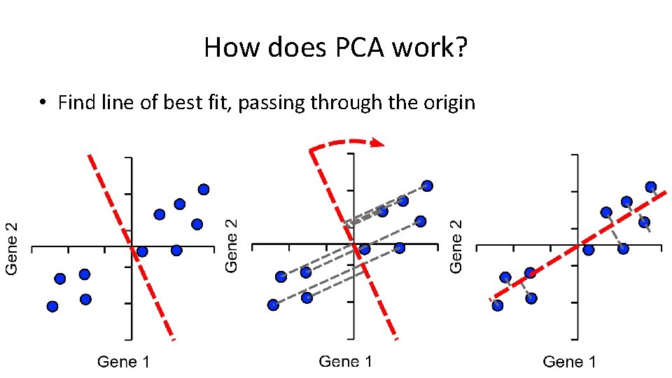 How does PCA work? • Find line of best fit, passing through the origin How does PCA work? • Find line of best fit, passing through the origin