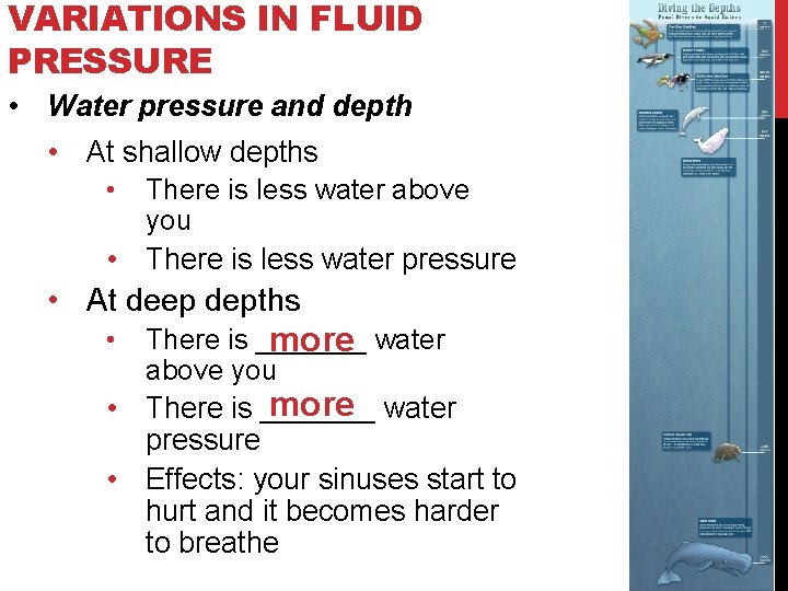 VARIATIONS IN FLUID PRESSURE • Water pressure and depth • At shallow depths •