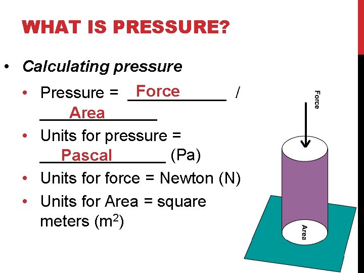 WHAT IS PRESSURE? • Calculating pressure Force • Pressure = ______ / _______ Area