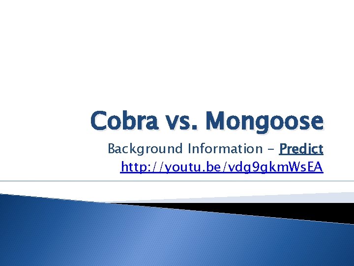 Cobra vs. Mongoose Background Information - Predict http: //youtu. be/vdg 9 gkm. Ws. EA