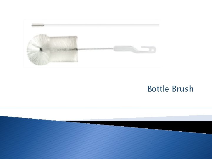 Bottle Brush 