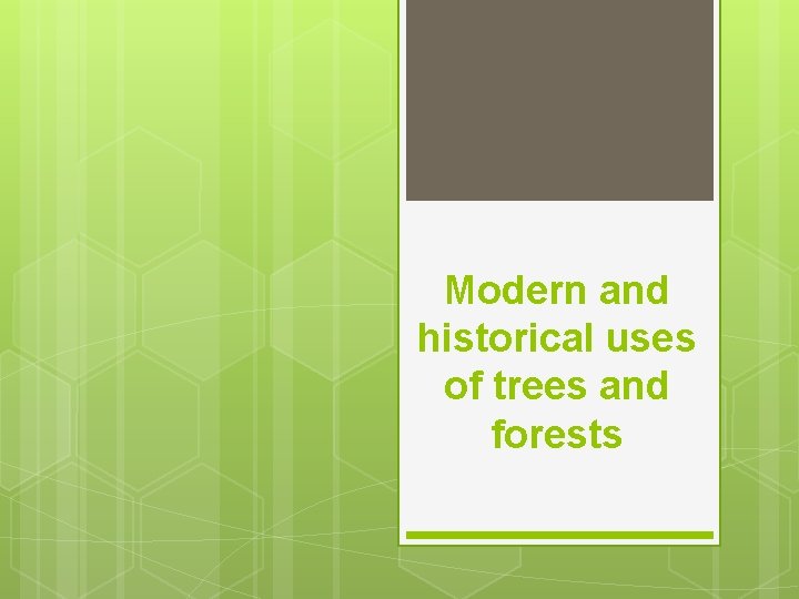 Modern and historical uses of trees and forests 