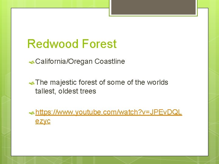 Redwood Forest California/Oregan Coastline The majestic forest of some of the worlds tallest, oldest