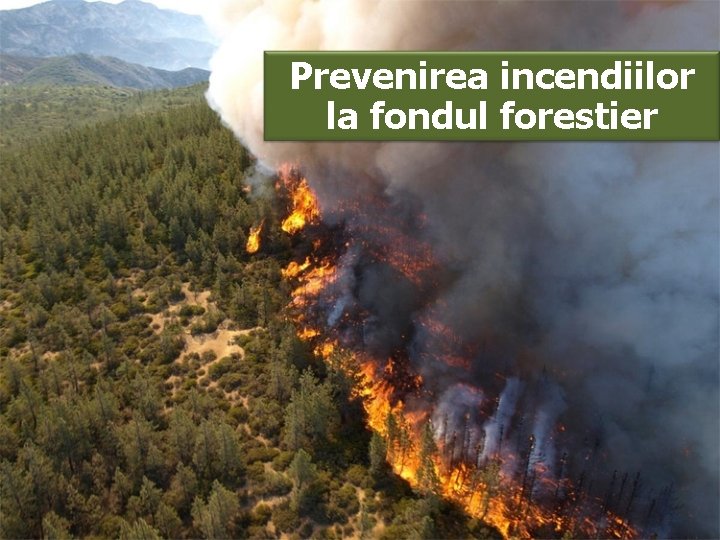 Prevenirea incendiilor la fondul forestier 