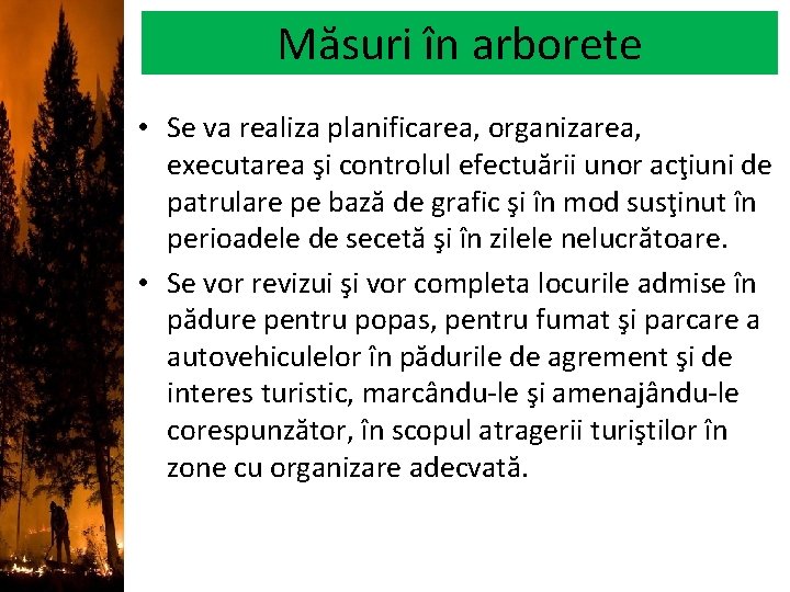 Măsuri în arborete • Se va realiza planificarea, organizarea, executarea şi controlul efectuării unor