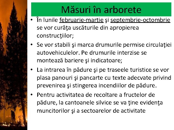 Măsuri în arborete • În lunile februarie-martie şi septembrie-octombrie se vor curăţa uscăturile din