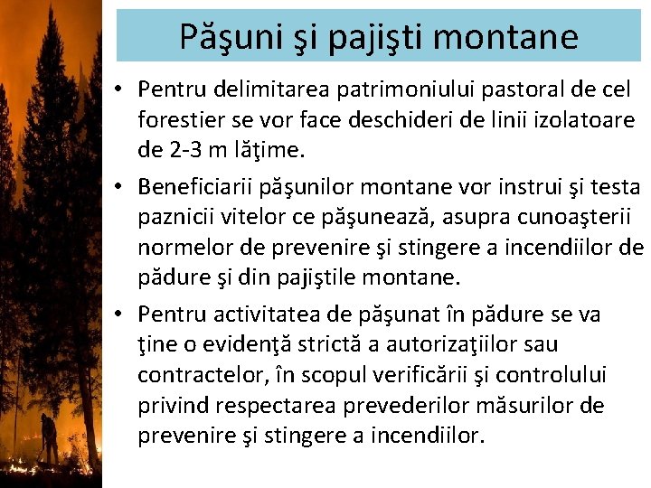 Păşuni şi pajişti montane • Pentru delimitarea patrimoniului pastoral de cel forestier se vor