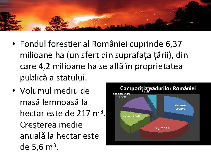  • Fondul forestier al României cuprinde 6, 37 milioane ha (un sfert din