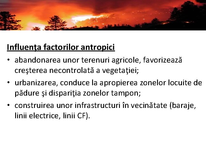 Influenţa factorilor antropici • abandonarea unor terenuri agricole, favorizează creşterea necontrolată a vegetaţiei; •