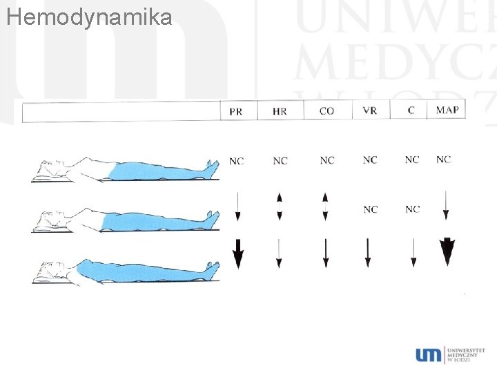 Hemodynamika 