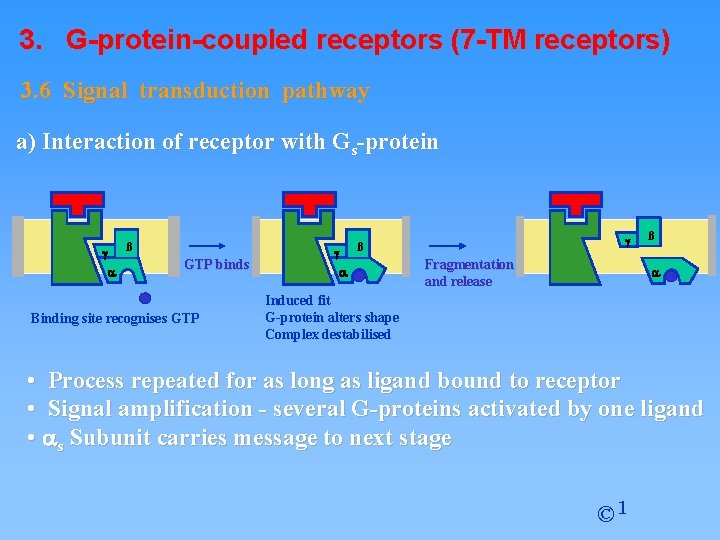 3. G-protein-coupled receptors (7 -TM receptors) 3. 6 Signal transduction pathway a) Interaction of