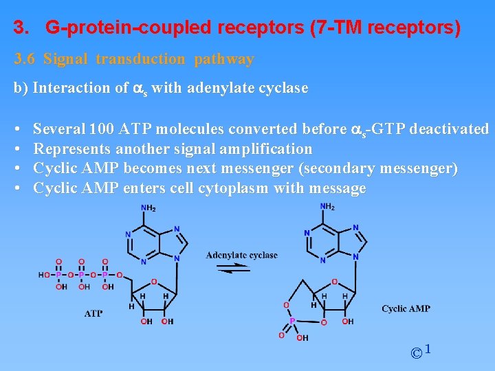 3. G-protein-coupled receptors (7 -TM receptors) 3. 6 Signal transduction pathway b) Interaction of