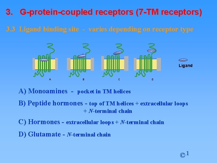 3. G-protein-coupled receptors (7 -TM receptors) 3. 3 Ligand binding site - varies depending