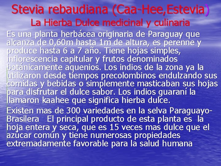 Stevia rebaudiana (Caa-Hee, Estevia) La Hierba Dulce medicinal y culinaria Es una planta herbácea