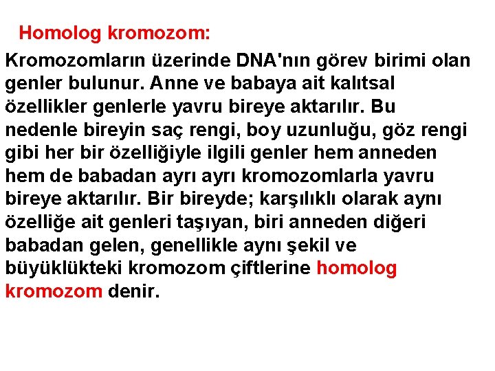 Homolog kromozom: Kromozomların üzerinde DNA'nın görev birimi olan genler bulunur. Anne ve babaya ait