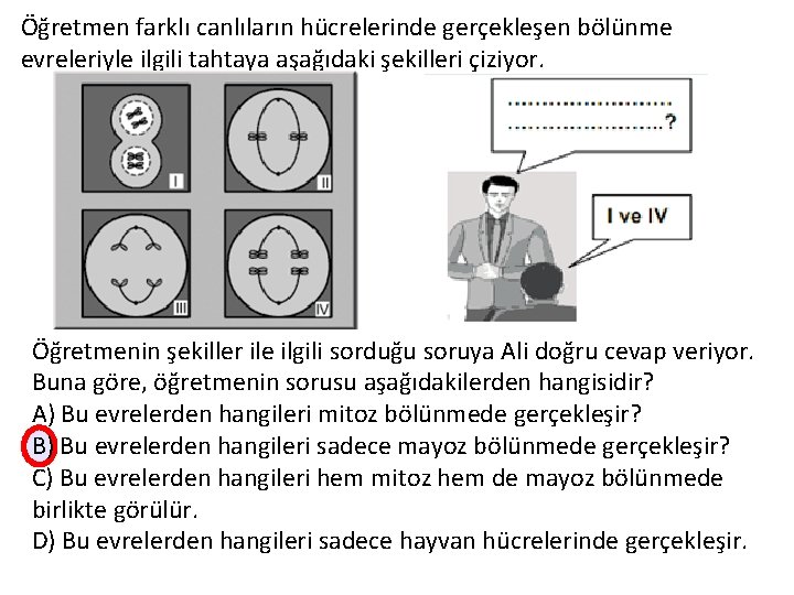 Öğretmen farklı canlıların hücrelerinde gerçekleşen bölünme evreleriyle ilgili tahtaya aşağıdaki şekilleri çiziyor. Öğretmenin şekiller