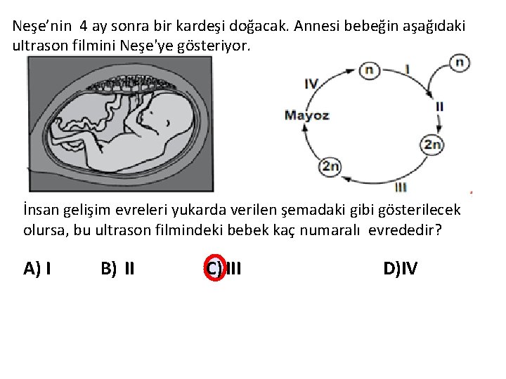 Neşe’nin 4 ay sonra bir kardeşi doğacak. Annesi bebeğin aşağıdaki u. Itrason filmini Neşe'ye