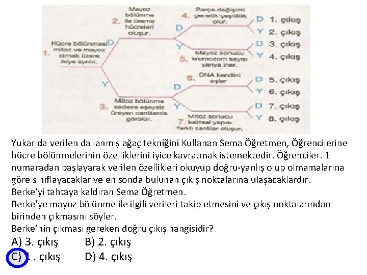 Yukarıda verilen dallanmış ağaç tekniğini Kullanan Sema Öğretmen, Öğrencilerine hücre bölünmelerinin özelliklerini iyice kavratmak