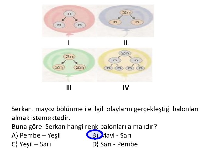 l ll l. V Serkan. mayoz bölünme ilgili olayların gerçekleştiği balonları almak istemektedir. Buna