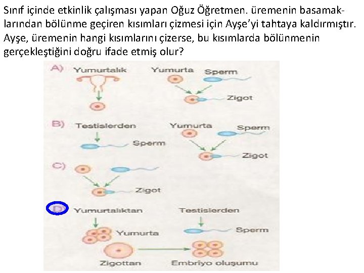 Sınıf içinde etkinlik çalışması yapan Oğuz Öğretmen. üremenin basamaklarından bölünme geçiren kısımları çizmesi için