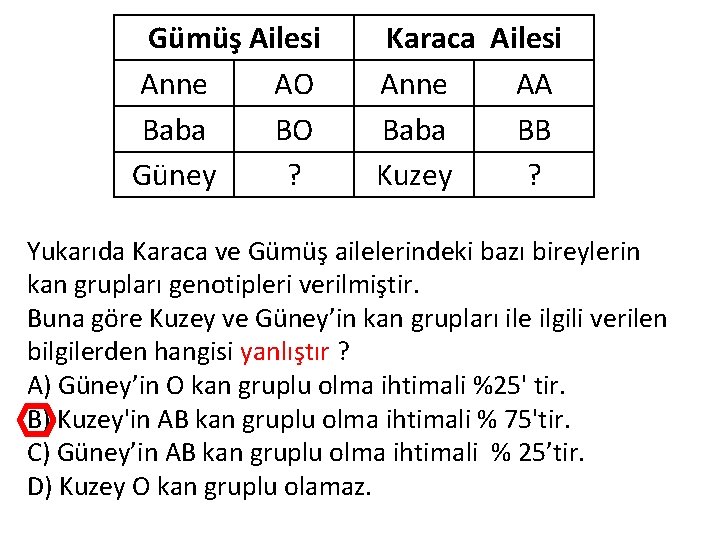 Gümüş Ailesi Anne AO Baba BO Güney ? Karaca Ailesi Anne AA Baba BB