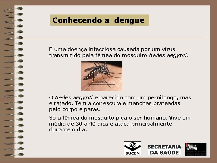 Conhecendo a dengue É uma doença infecciosa causada por um vírus transmitido pela fêmea