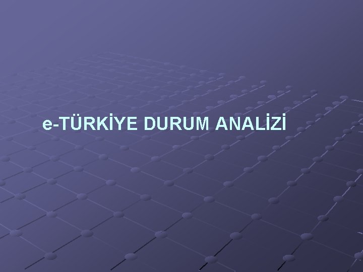 e-TÜRKİYE DURUM ANALİZİ 