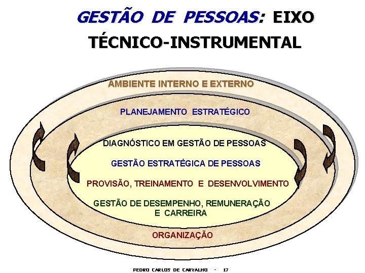 GESTÃO DE PESSOAS: EIXO TÉCNICO-INSTRUMENTAL AMBIENTE INTERNO E EXTERNO PLANEJAMENTO ESTRATÉGICO DIAGNÓSTICO EM GESTÃO