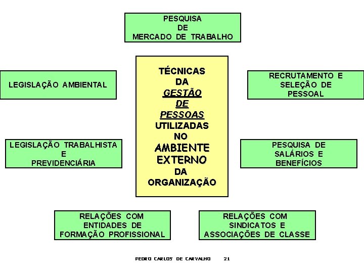 PESQUISA DE MERCADO DE TRABALHO LEGISLAÇÃO AMBIENTAL LEGISLAÇÃO TRABALHISTA E PREVIDENCIÁRIA TÉCNICAS DA GESTÃO