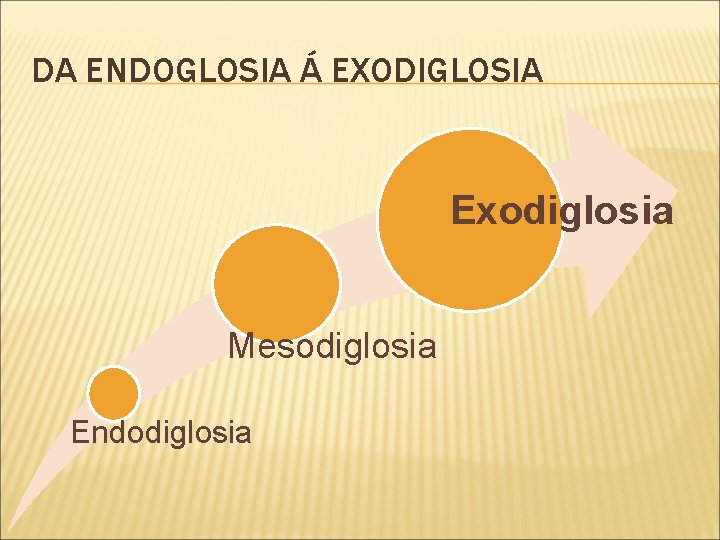 DA ENDOGLOSIA Á EXODIGLOSIA Exodiglosia Mesodiglosia Endodiglosia 