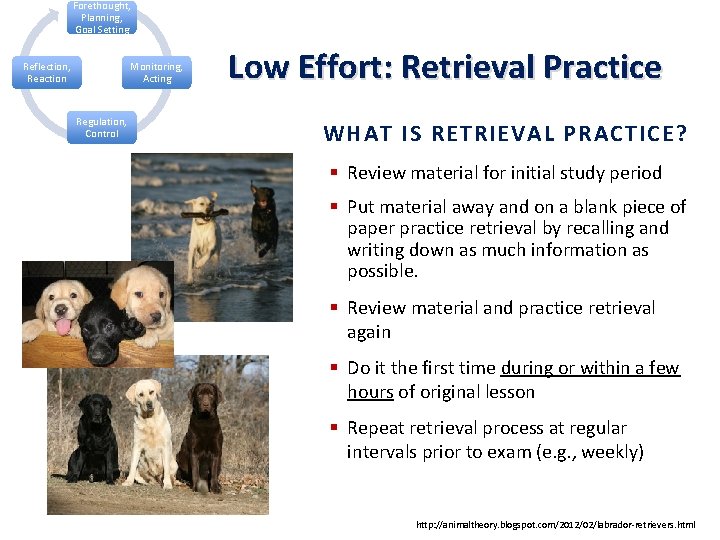 Forethought, Planning, Goal Setting Reflection, Reaction Monitoring, Acting Regulation, Control Low Effort: Retrieval Practice