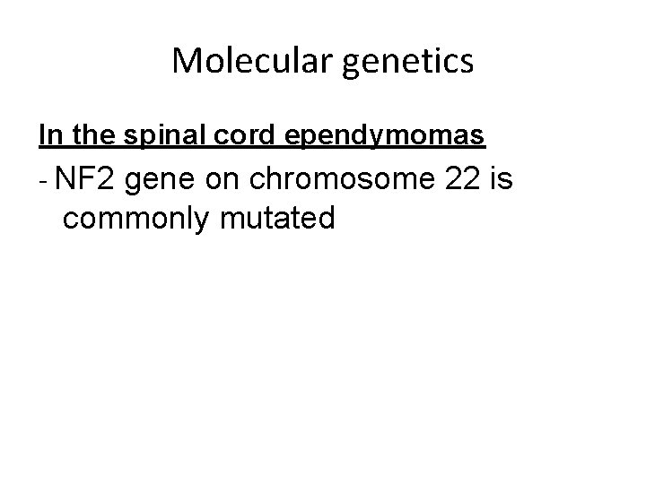 Molecular genetics In the spinal cord ependymomas - NF 2 gene on chromosome 22