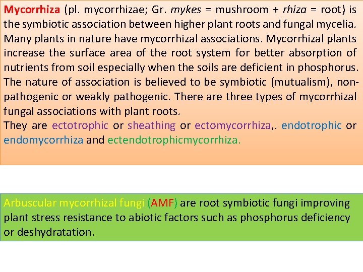 Mycorrhiza (pl. mycorrhizae; Gr. mykes = mushroom + rhiza = root) is the symbiotic