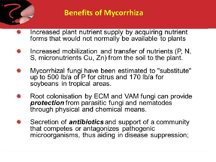 Benefits of Mycorrhiza 
