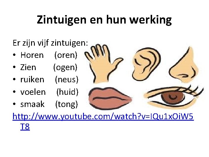 Zintuigen en hun werking Er zijn vijf zintuigen: • Horen (oren) • Zien (ogen) Zintuigen en hun werking Er zijn vijf zintuigen: • Horen (oren) • Zien (ogen)