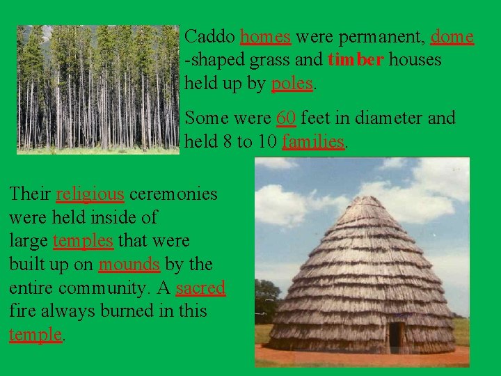 Caddo homes were permanent, dome -shaped grass and timber houses held up by poles.