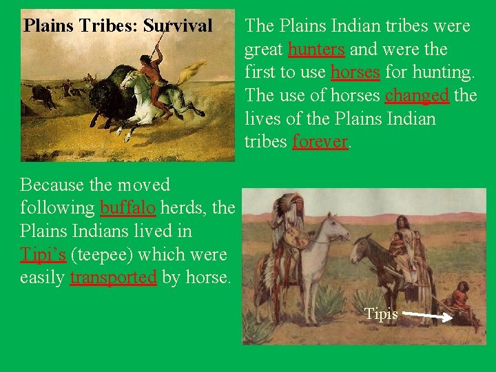 Plains Tribes: Survival The Plains Indian tribes were great hunters and were the first