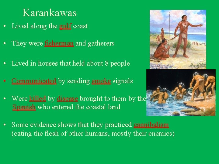 Karankawas • Lived along the gulf coast • They were fisherman and gatherers •